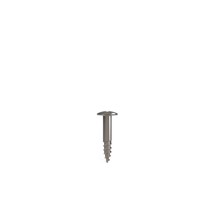 Pro-Fix Tenting Screw, 1,5x4, PFT4