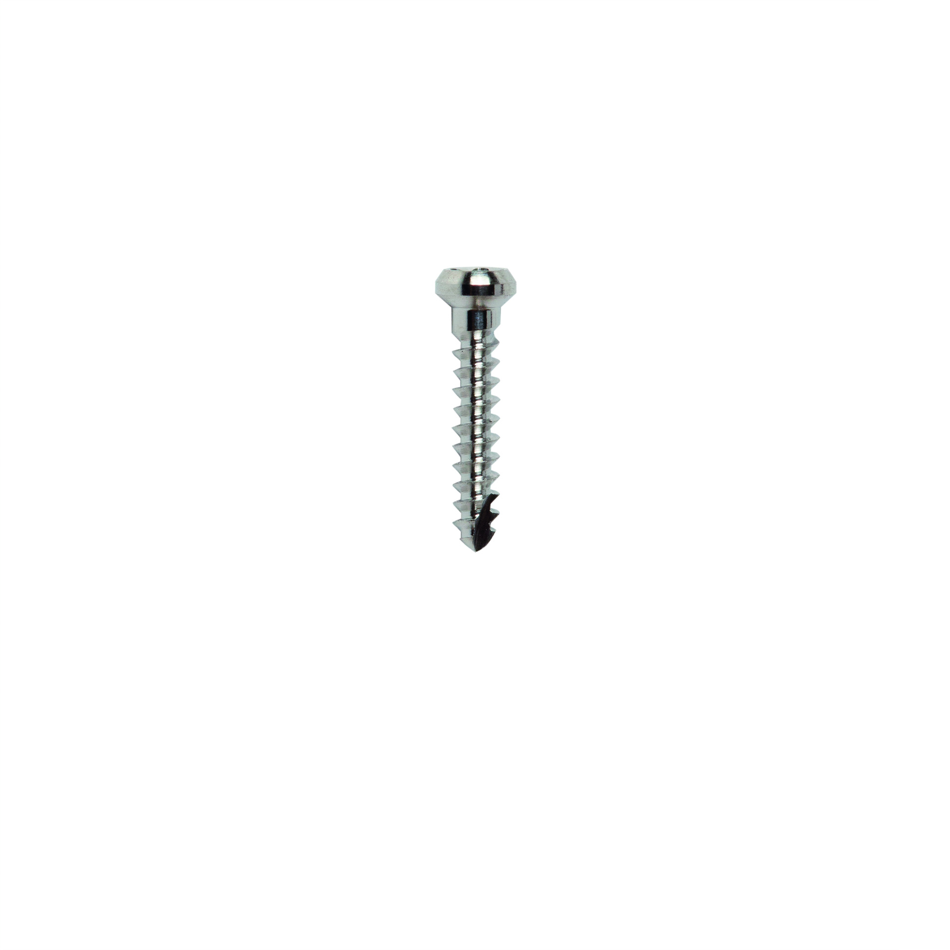 MICRO-SCREW T Ø1.0 L 6.0