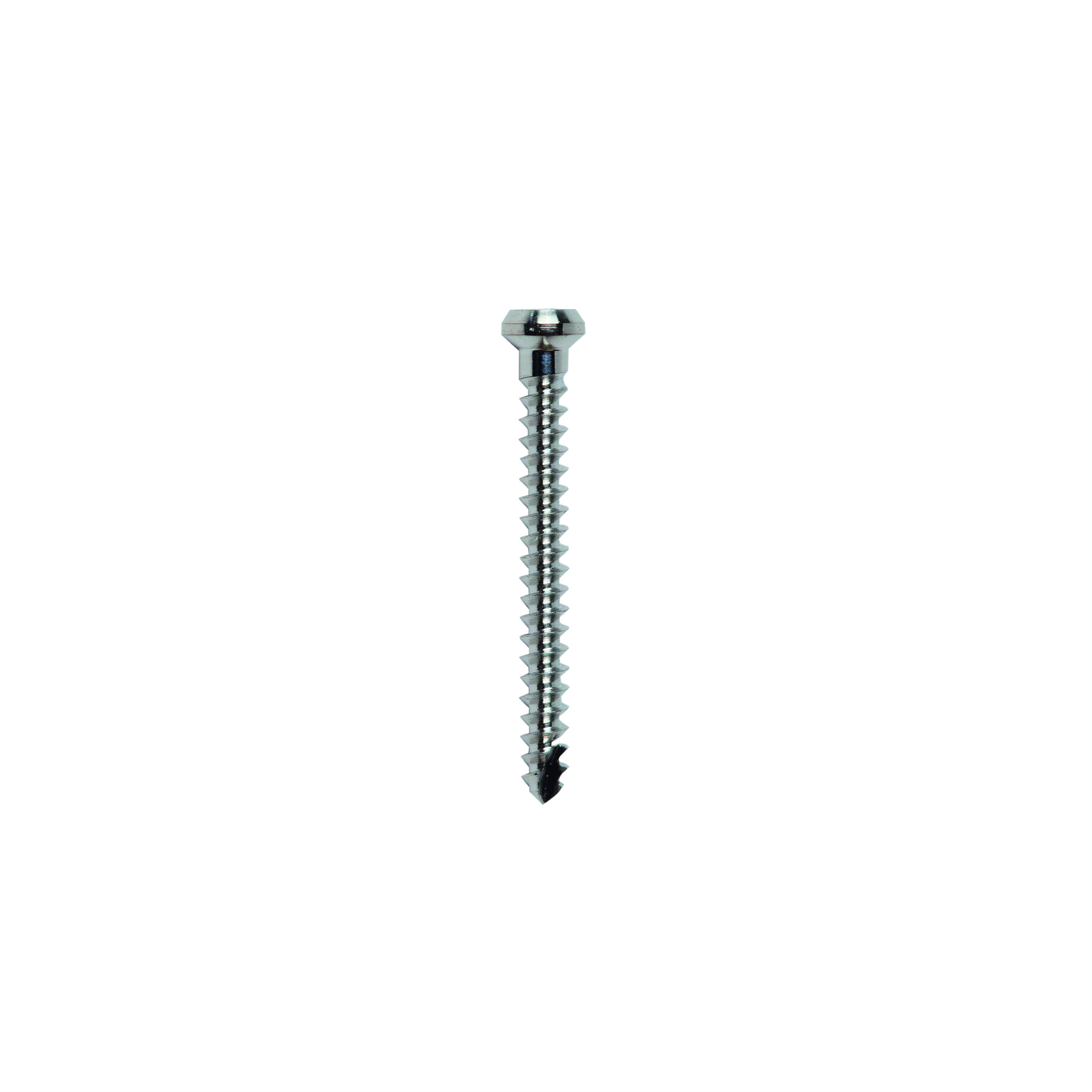MICRO-SCREW T Ø1.0 L 10.0