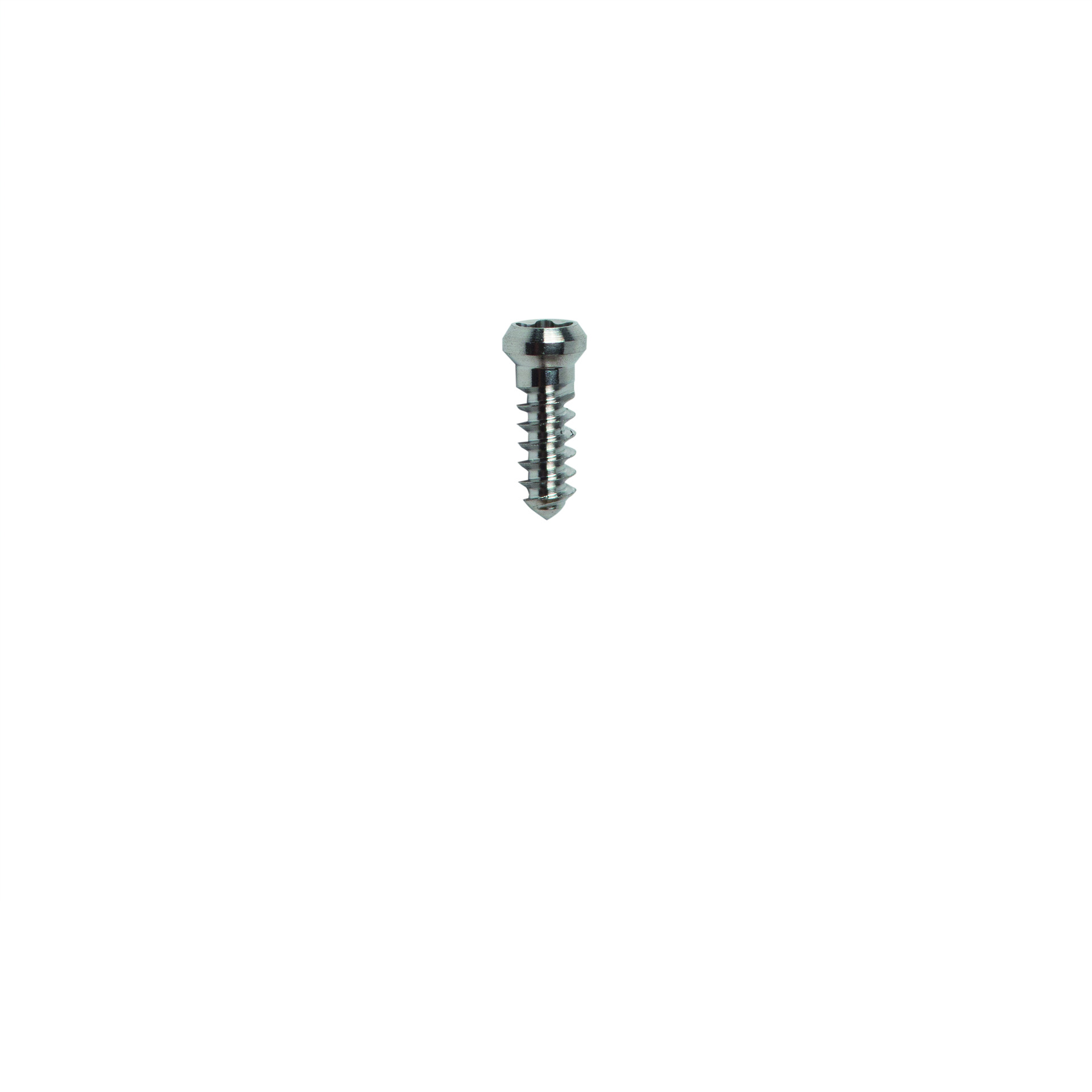 MICRO-SCREW T Ø1.2 L 4.0