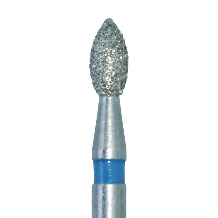 Diamant Knospe FG, 831
