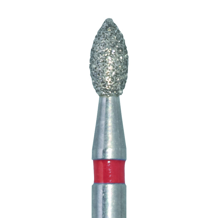Diamant Knospe FG, 831