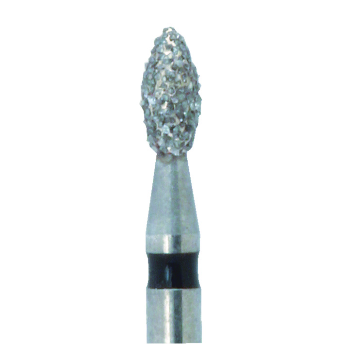 Diamant Knospe FG, 831