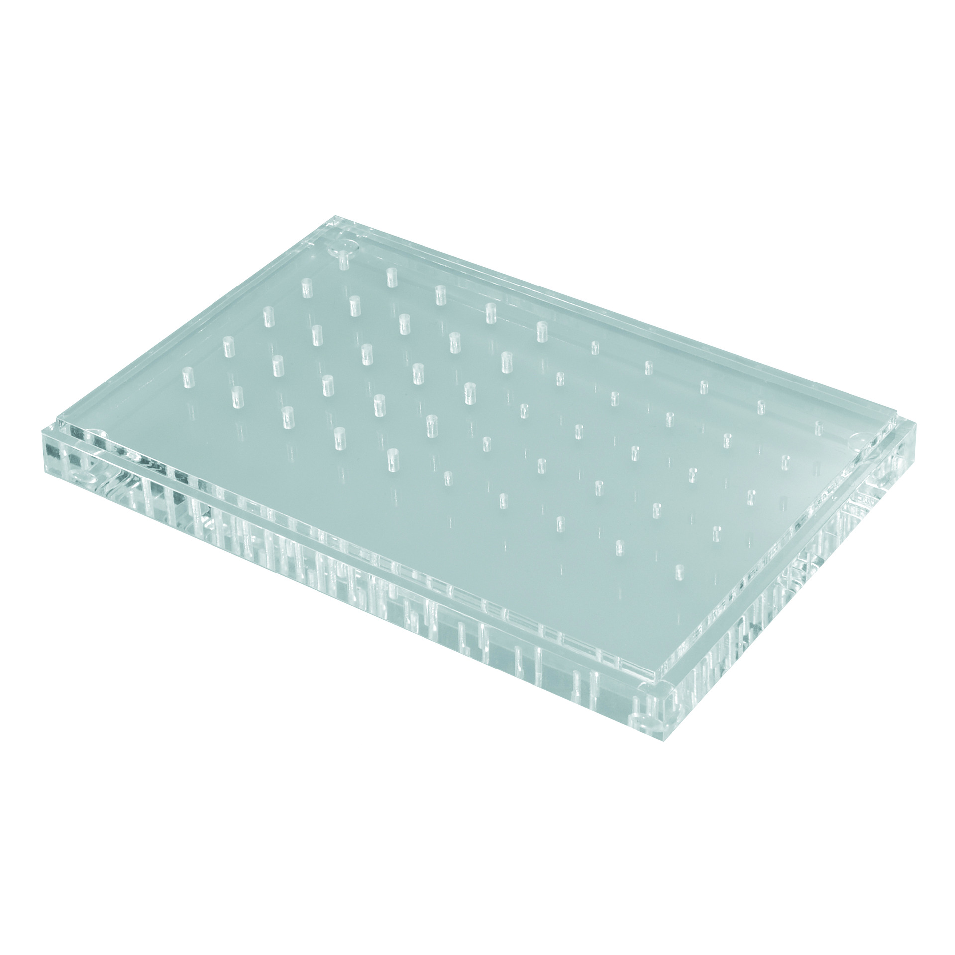 Plexiglassockel 25 HP/RA + 25 FG, 2813