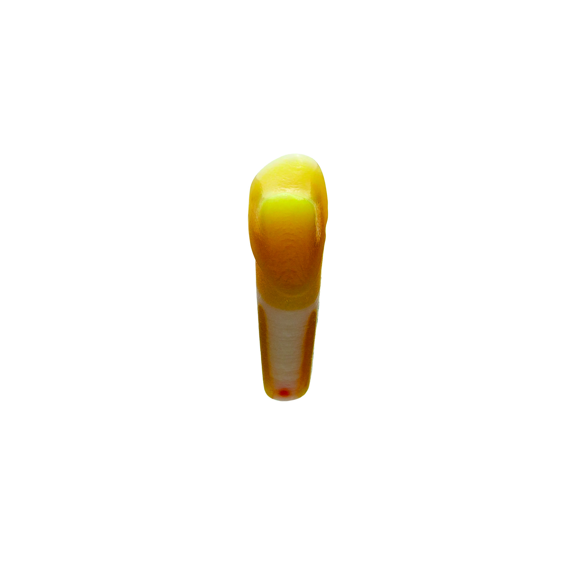 myteeth Übungszahn 24, mit Teil- Veneer und vestibulärer Hohlkehl- Präparation ohne Isthmus - 5